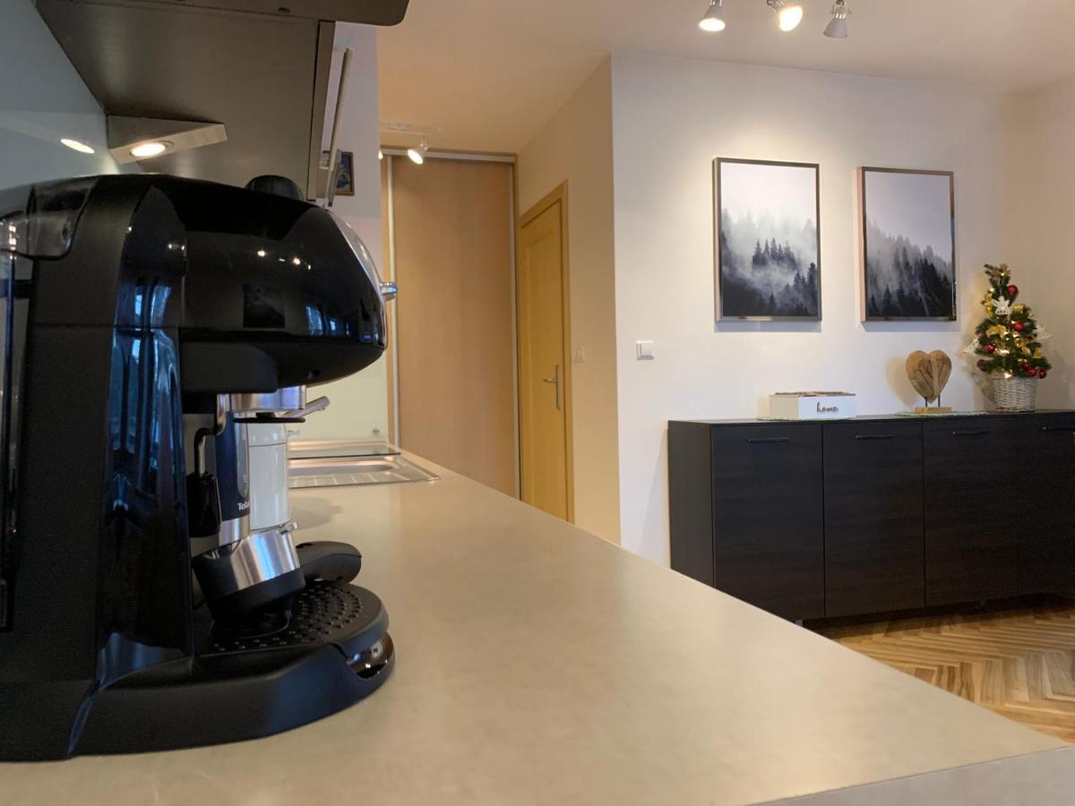 Apartament Goralka 扎科帕内 外观 照片